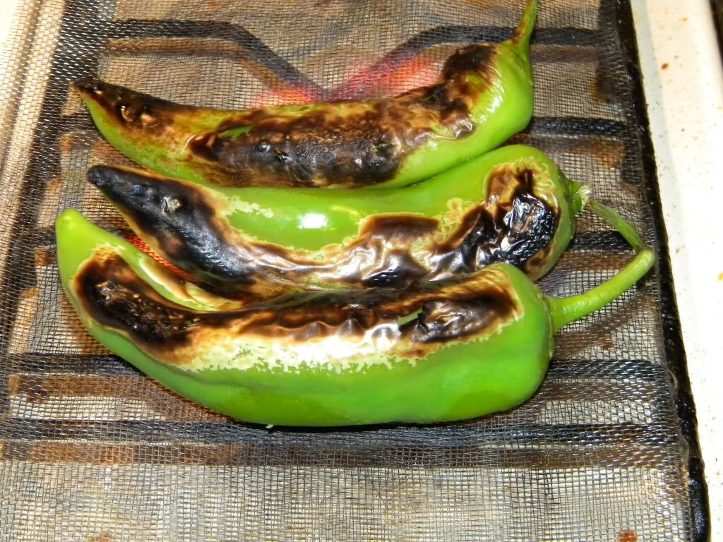 sonora sonora