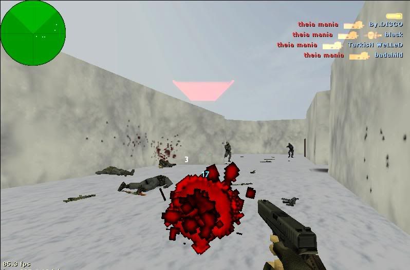 cs4.jpg