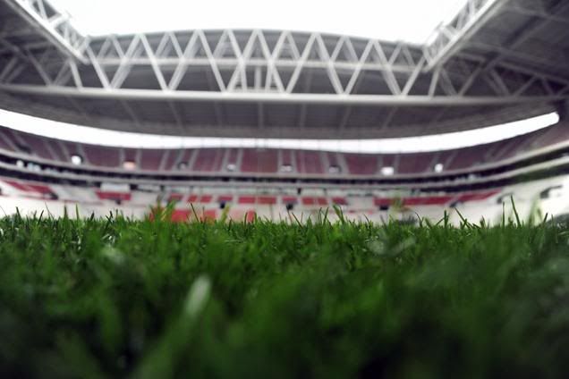 ttarena20101.jpg