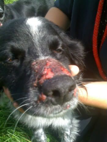 Contemporary indoors layout for master suite ultra-modern contemporary kitchen design