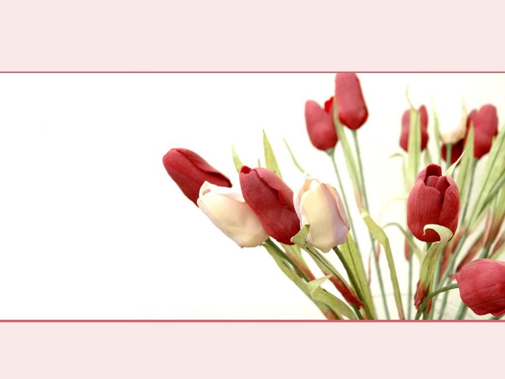 love-wallpaper34.jpg