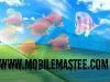 www.mobilemastee.com