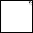 19.png