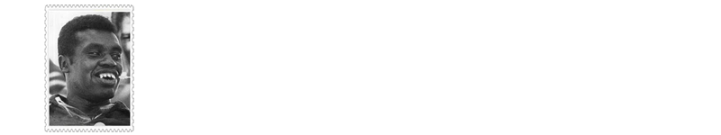 fiosello.png