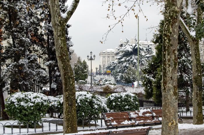 NieveEnero200934.jpg