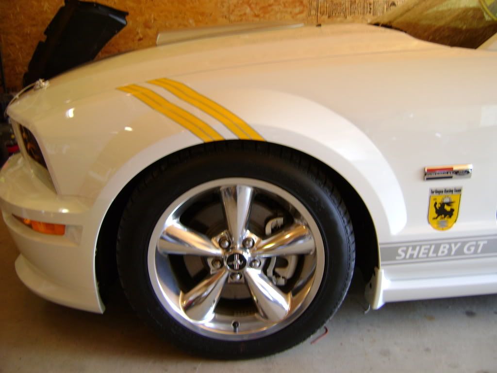 DSC00014.jpg