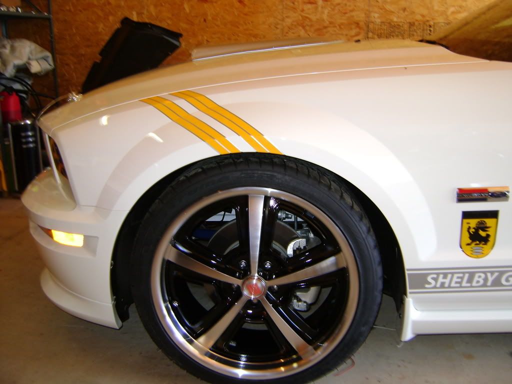 DSC00017.jpg