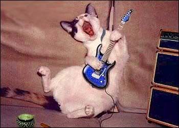 pet-rocker.jpg