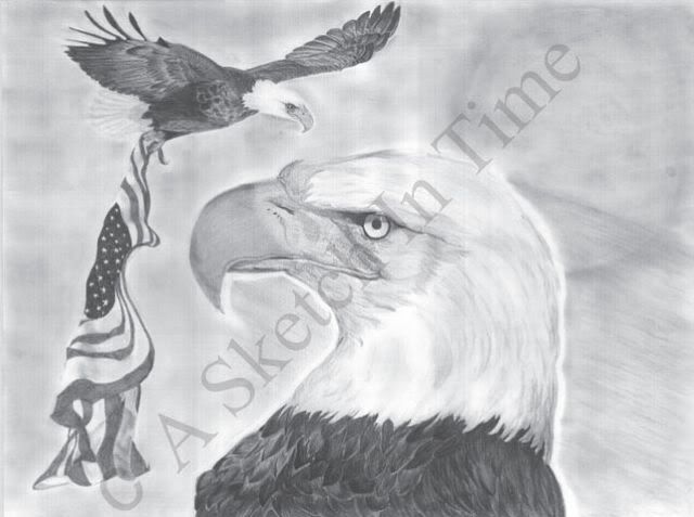 American Bald Eagle Photo by asit_photos | Photobucket
