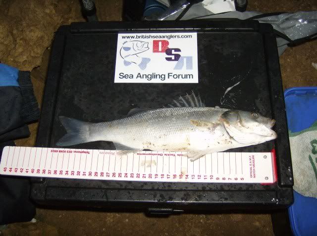 Eddsfishingpics2019.jpg
