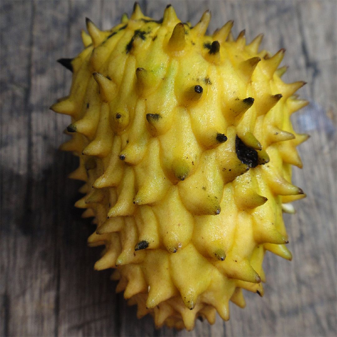 Anon Cimarron (Annona hypoglauca)