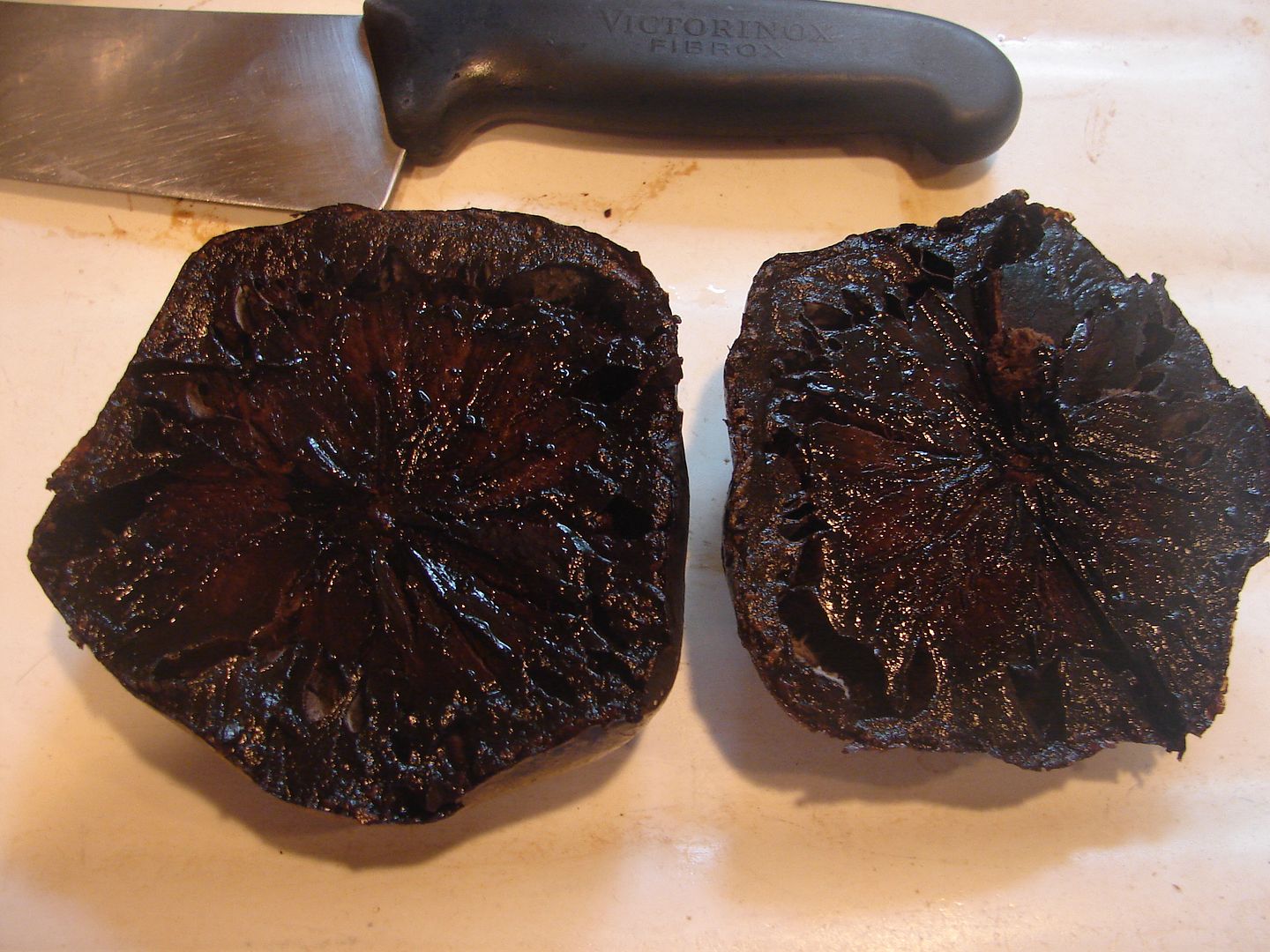 Black Sapote, Chocolate Pudding Tree
