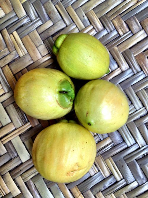 Pomarossa ~ Syzygium jambos
