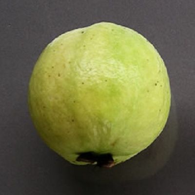 White Guava
Lucknow 49