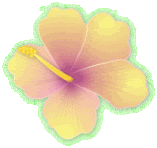 hibisc2.gif Yellow Hibiscus