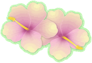 hibisc3.gif Two Yellow Hibiscus