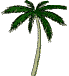palmtree.gif (9847 bytes)