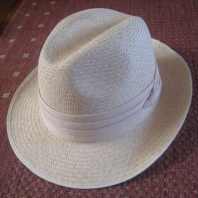 Panama Hat Plant
