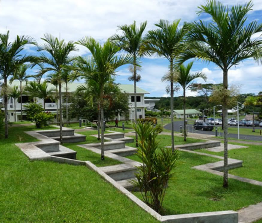 Kattai Palm used as a landscape palm in Micronesia.
 Ponapea ledermanniana 
picture by 7_Heads