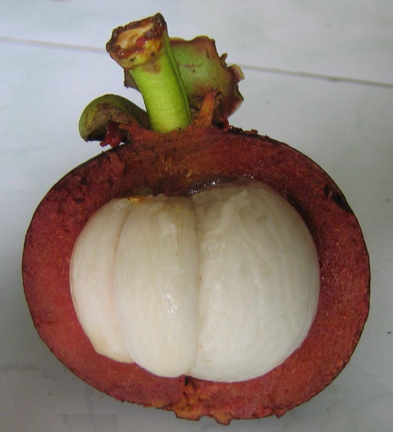 Mangosteen is primarily consumed fresh.