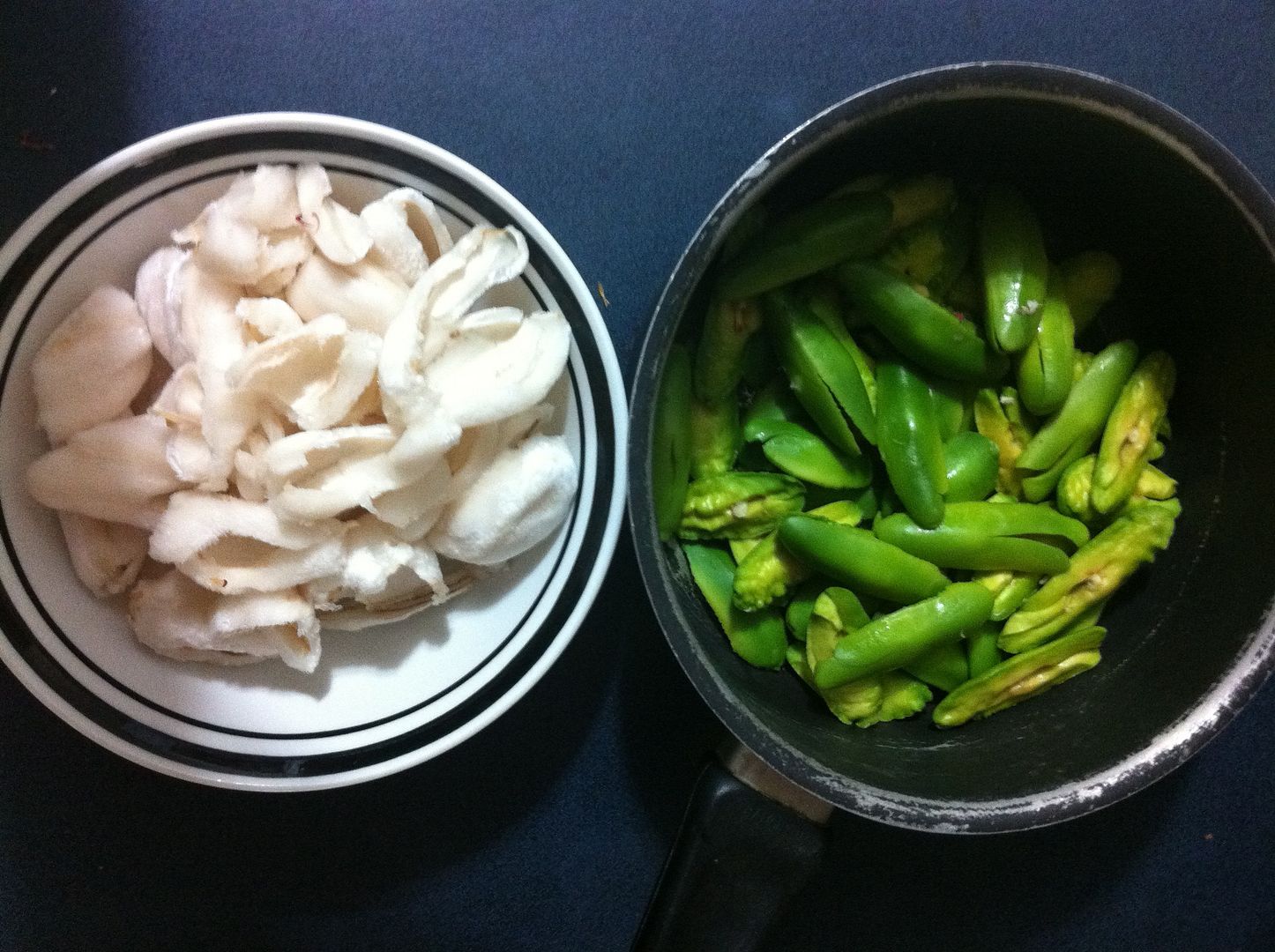 Pink Ice Cream Bean, Monkey Tamarind (Inga vulpina)