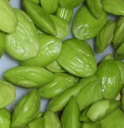 Petai beans or seeds