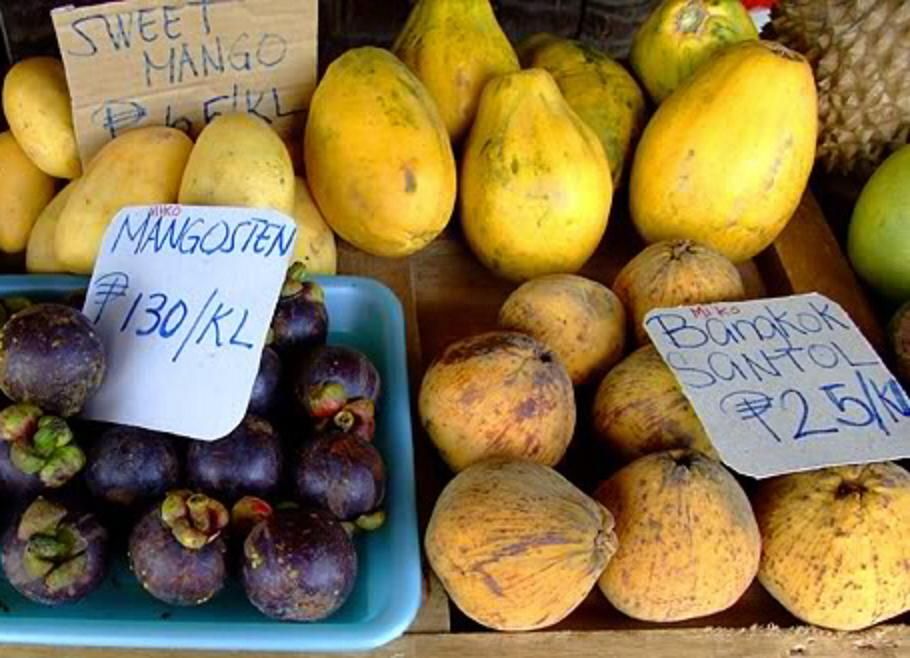 Santol fruits are abundant in the local markets throughout India, Indonesia, the Philippines, and many Pacific Islands.