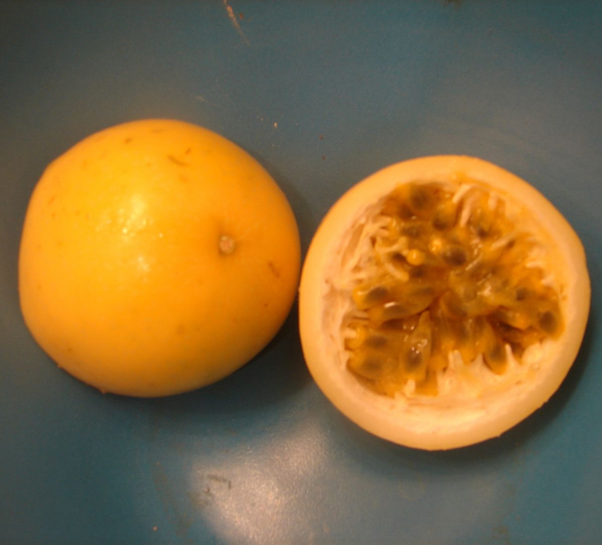 Golden Passion Fruit