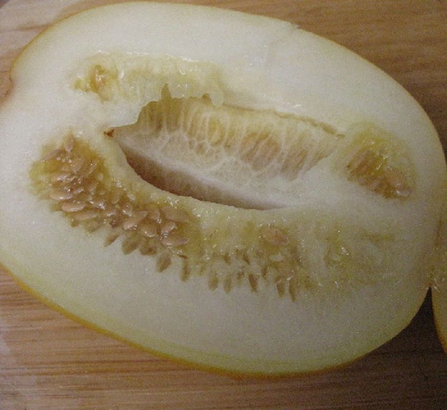 Korean Golden Honey Melon