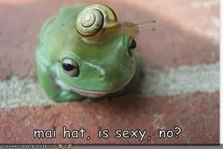 funny-pictures-frog-sexy-hat.jpg