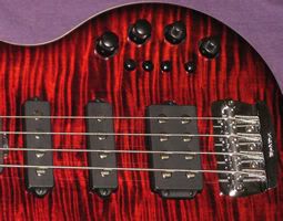 Musicman25thAnnHSSFlameRosecollage3.jpg