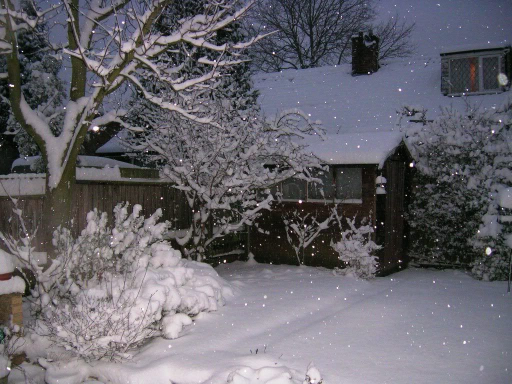 snow2009002.jpg