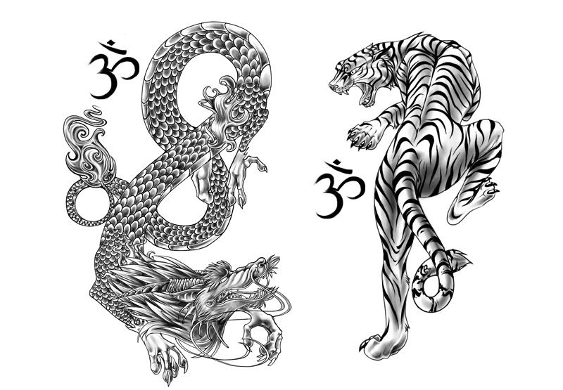 Tiger and Dragon OHM Pictures, Images and Photos