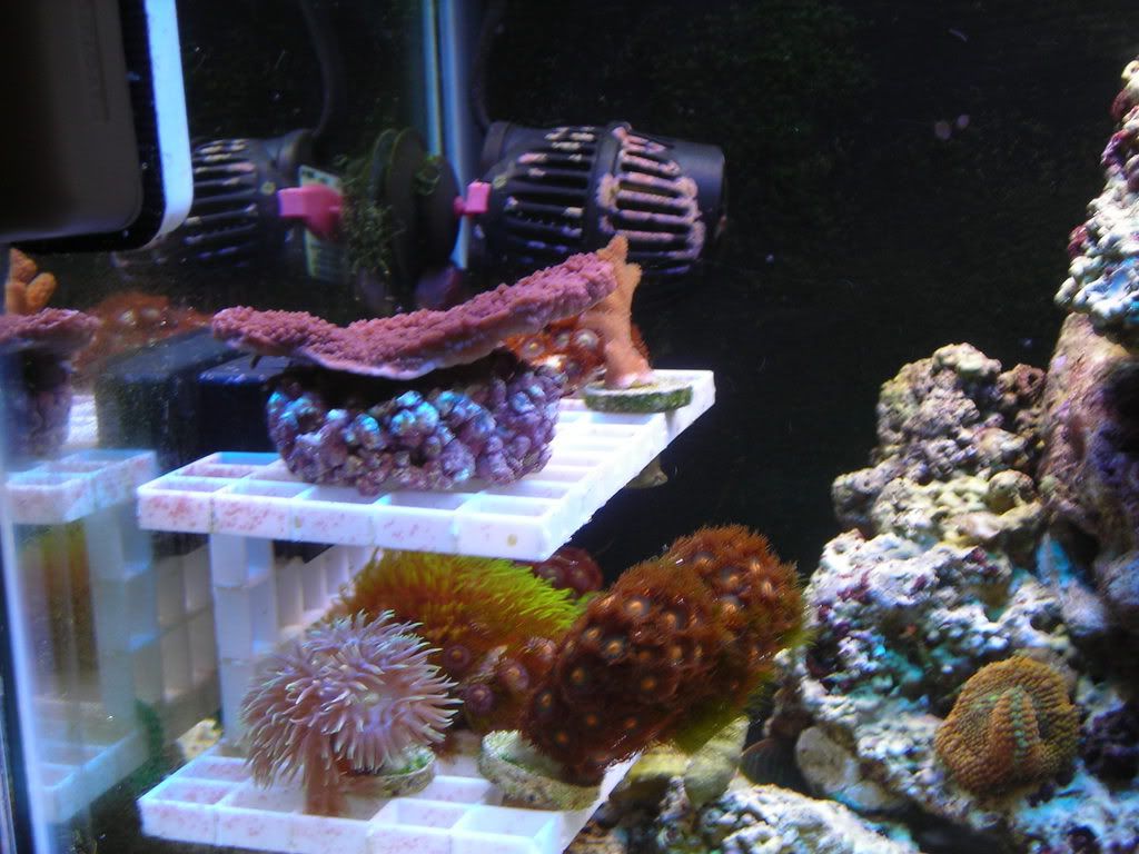 DSCN1671.jpg