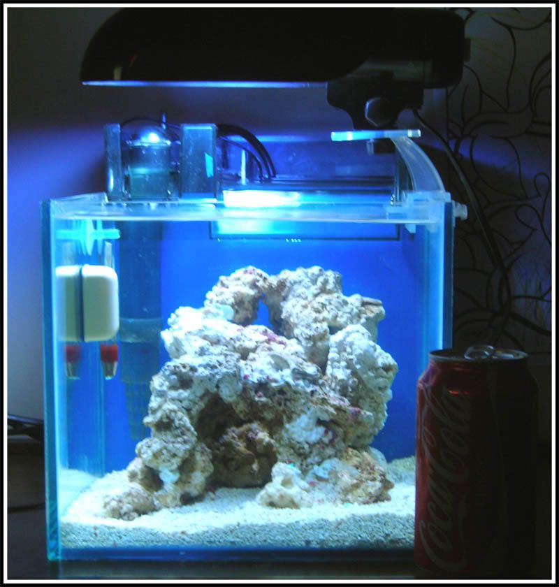 fts-1.jpg