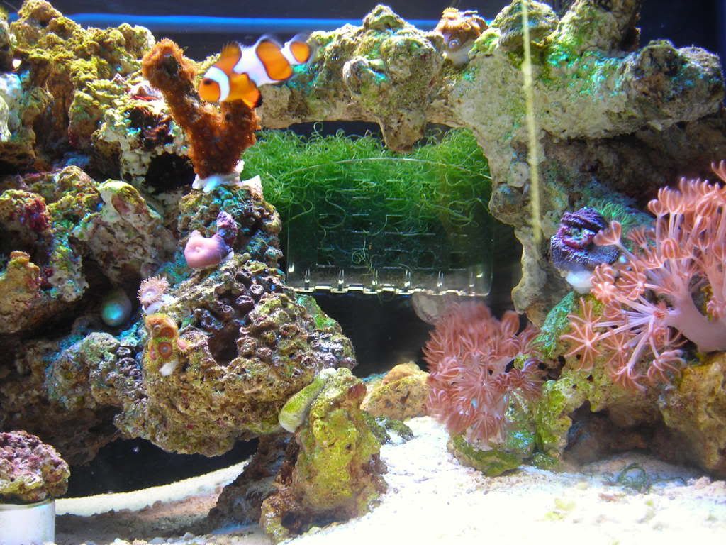 fts1.jpg