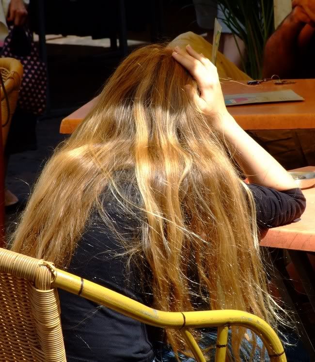 click for big photo (700 kb)