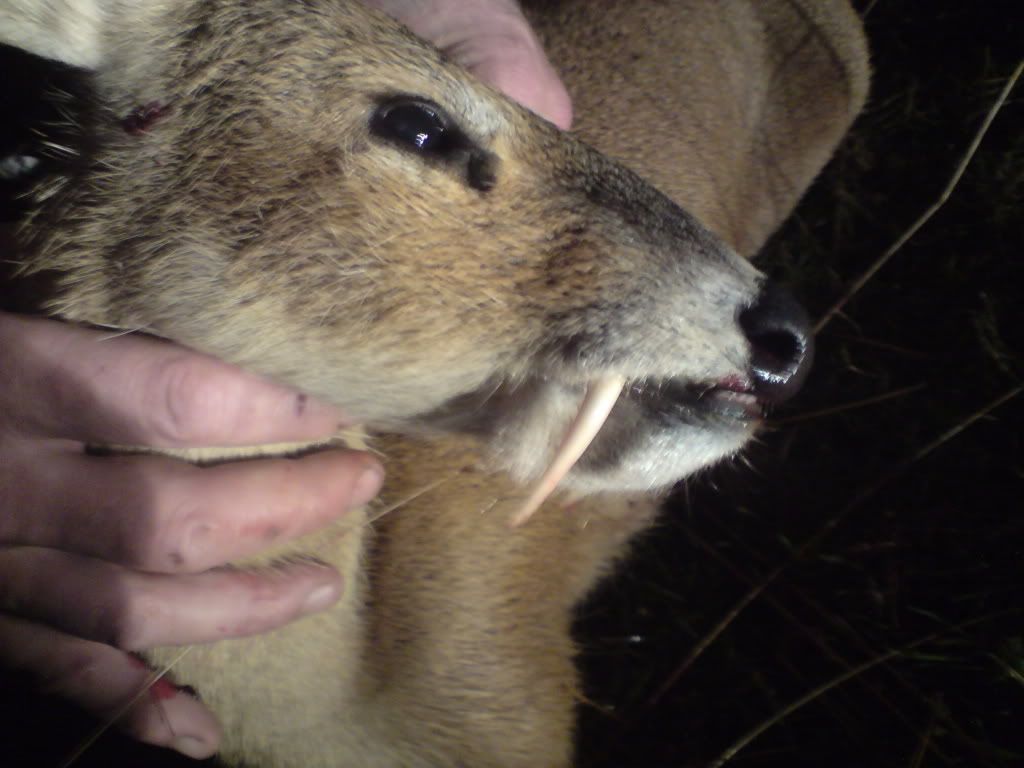 huntingpics004.jpg