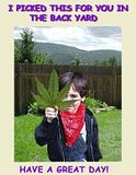 thm_phpHps9fG.jpg Mary Jane image by garybl