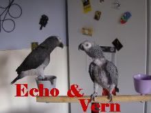 Posted Image