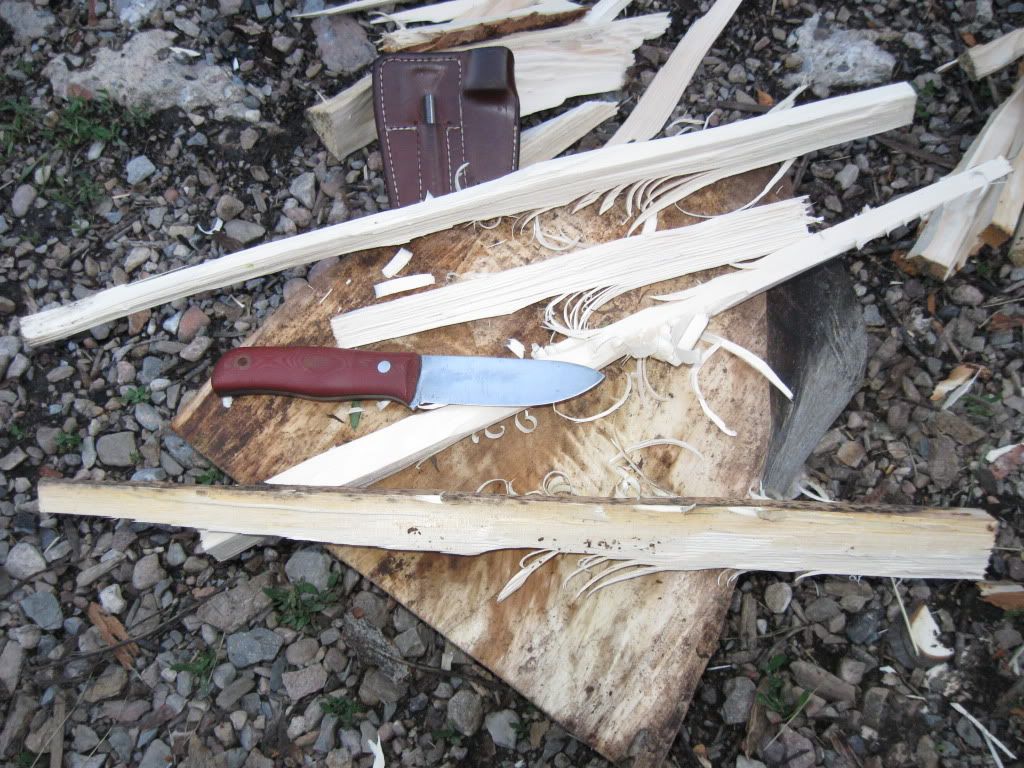 [Linked Image from i262.photobucket.com]