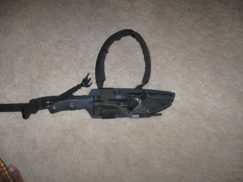 [Linked Image from i262.photobucket.com]