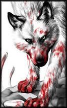 Blood wolf Pictures, Images and Photos