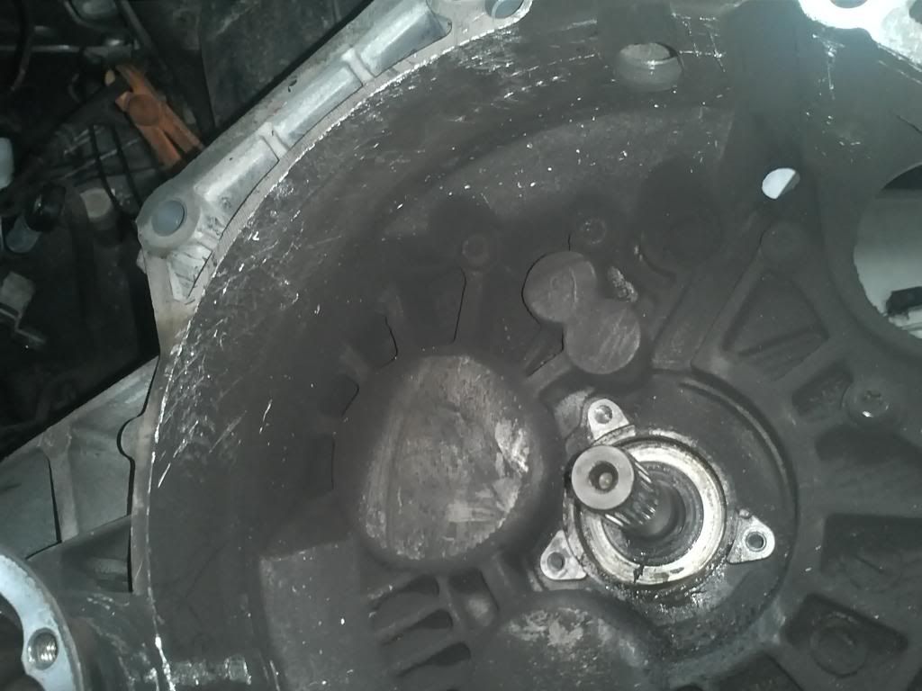 IMG892_zpsc435b850.jpg