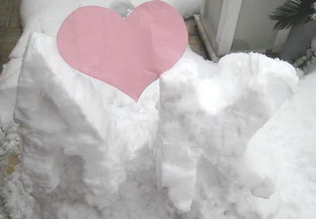 IMG_087909.jpg picture by candyoo87