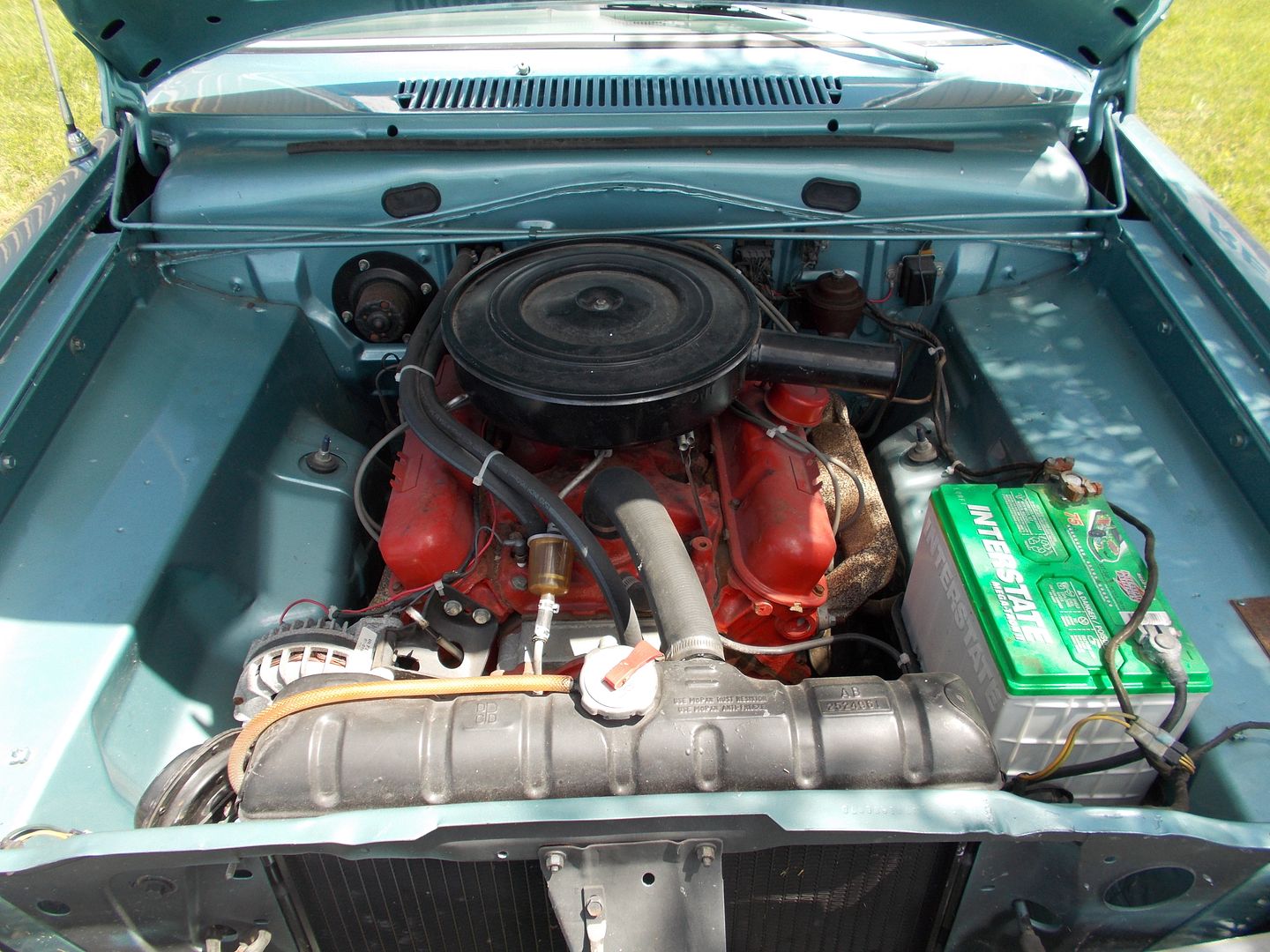 DWMvettecarpetand65cuda009_zpsd4ff683e.jpg