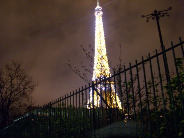 Sparkle Eiffel Tower