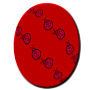 Red Z-adybug Egg 2008