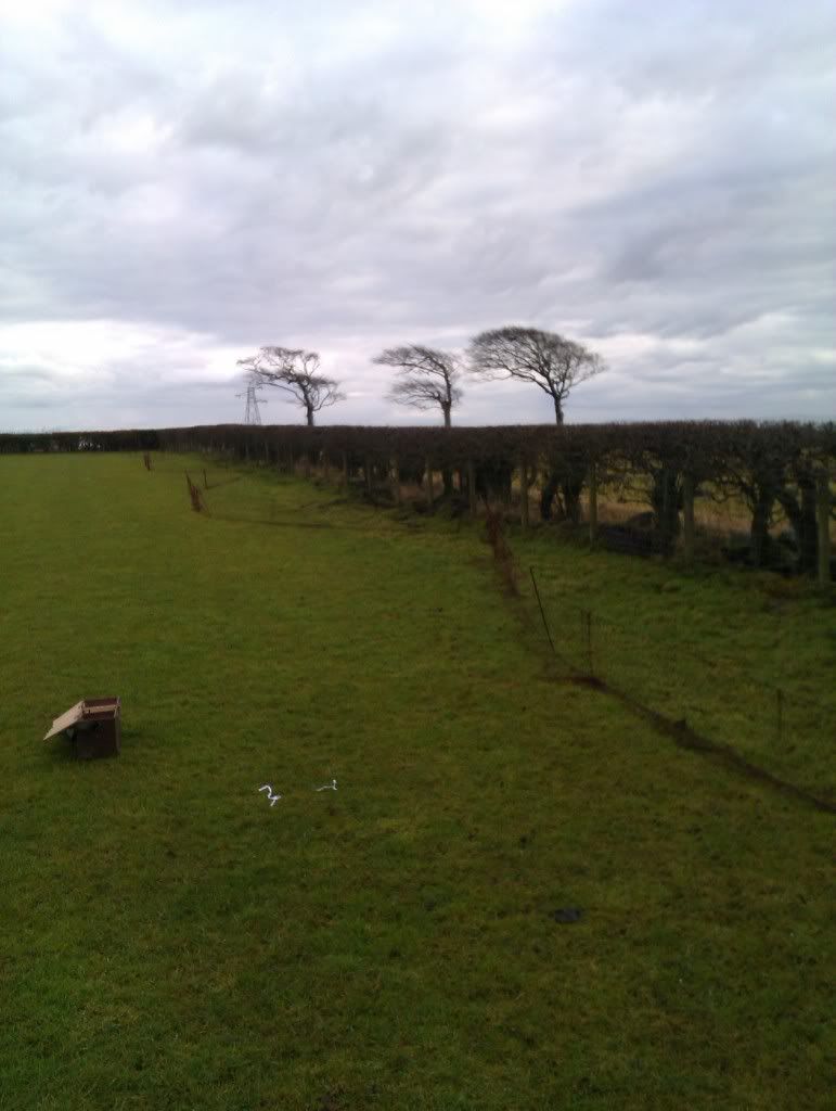 IMAG0069.jpg