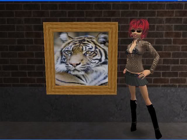 TigerPic1-ScreenShot